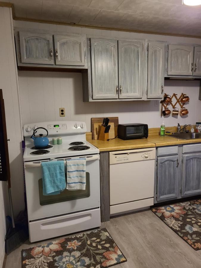 Endless Mountain Adventure Villa Renovo Екстериор снимка
